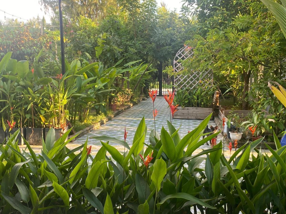 Laoxao Homestay Hoi An Exteriér fotografie