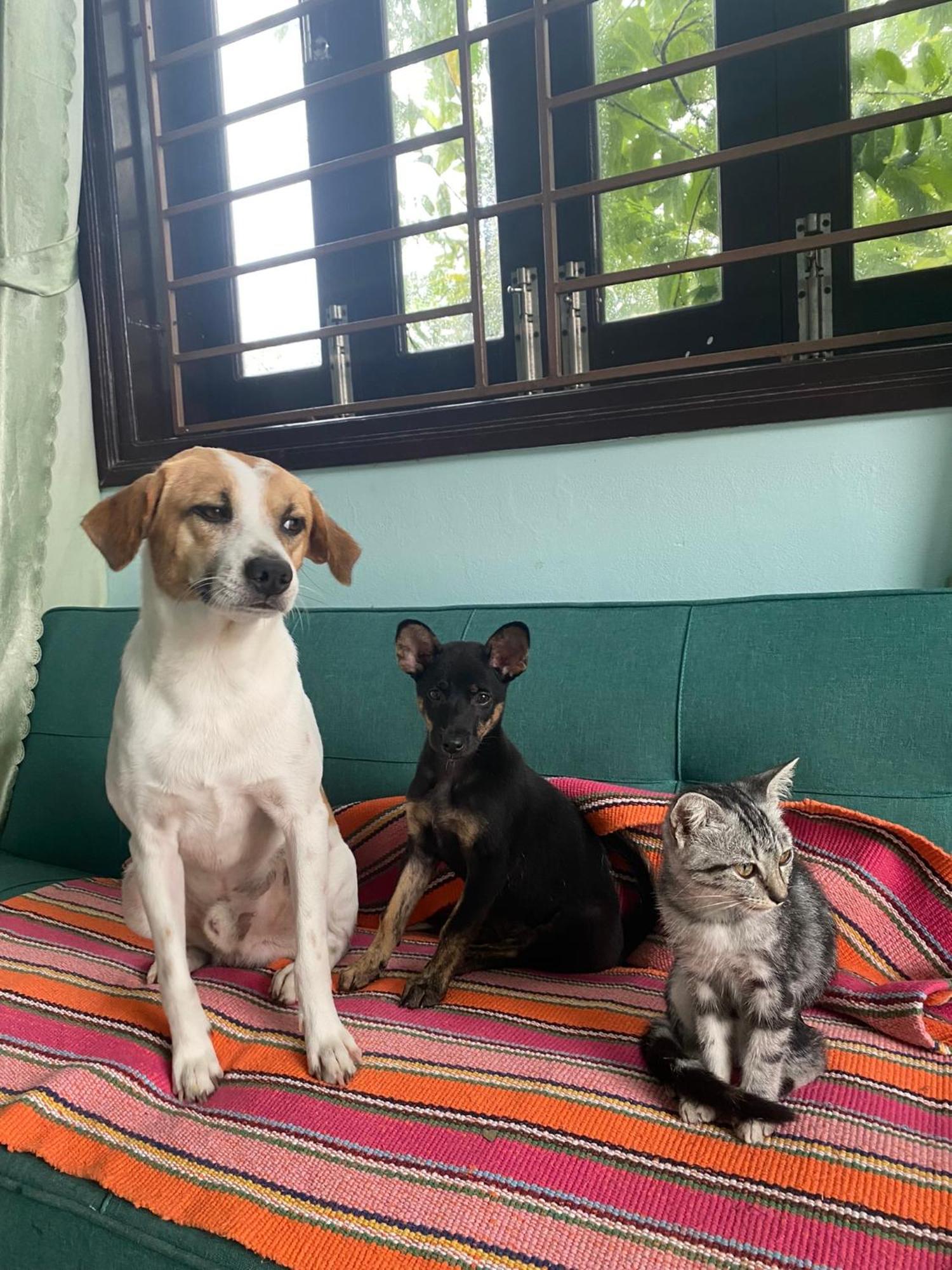 Laoxao Homestay Hoi An Exteriér fotografie